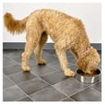 thumbnail image 2 of Bebedero Plateado Para Perro 0.9 l (32 oz), 2 of 2