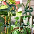 thumbnail image 3 of Plant Clips 60 Pcs Extra Large Plant Clips Stable Clip For Securing Plants Supports Planting (30 Large + 30 Small), 3 of 7