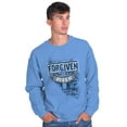 thumbnail image 3 of Forgiven and Risen Jesus Christ Sweatshirt for Men or Women Brisco Brands M, 3 of 6