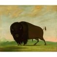 thumbnail image 3 of George Catlin 17x15 Black Modern Framed Museum Art Print Titled - Buffalo Bull, Grazing on the Prairie (1832-1833), 3 of 5