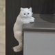 thumbnail image 5 of 12 mini juguete colgante relleno del gato del super suave del juguete de la felpa del gatito para apaciguar el humor, 5 of 5