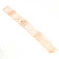 thumbnail image 6 of PlayWorld Pretty in Pink Pink and Gold Bachelorette Party Bride to Be Sash - Pink, 6 of 10