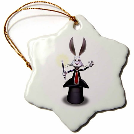 3dRose Cartoon Rabbit Magician - Snowflake Ornament, 3-inch