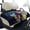 Sasquatch Eagle, variant on Pzuqiu Heart-Shaped Turtle Pattern Golf Cart Seat Covers Protector Quilted Golf Cart Seat Covers, 4 Front Pockets Portable Golf Cart Bench Seat Cover