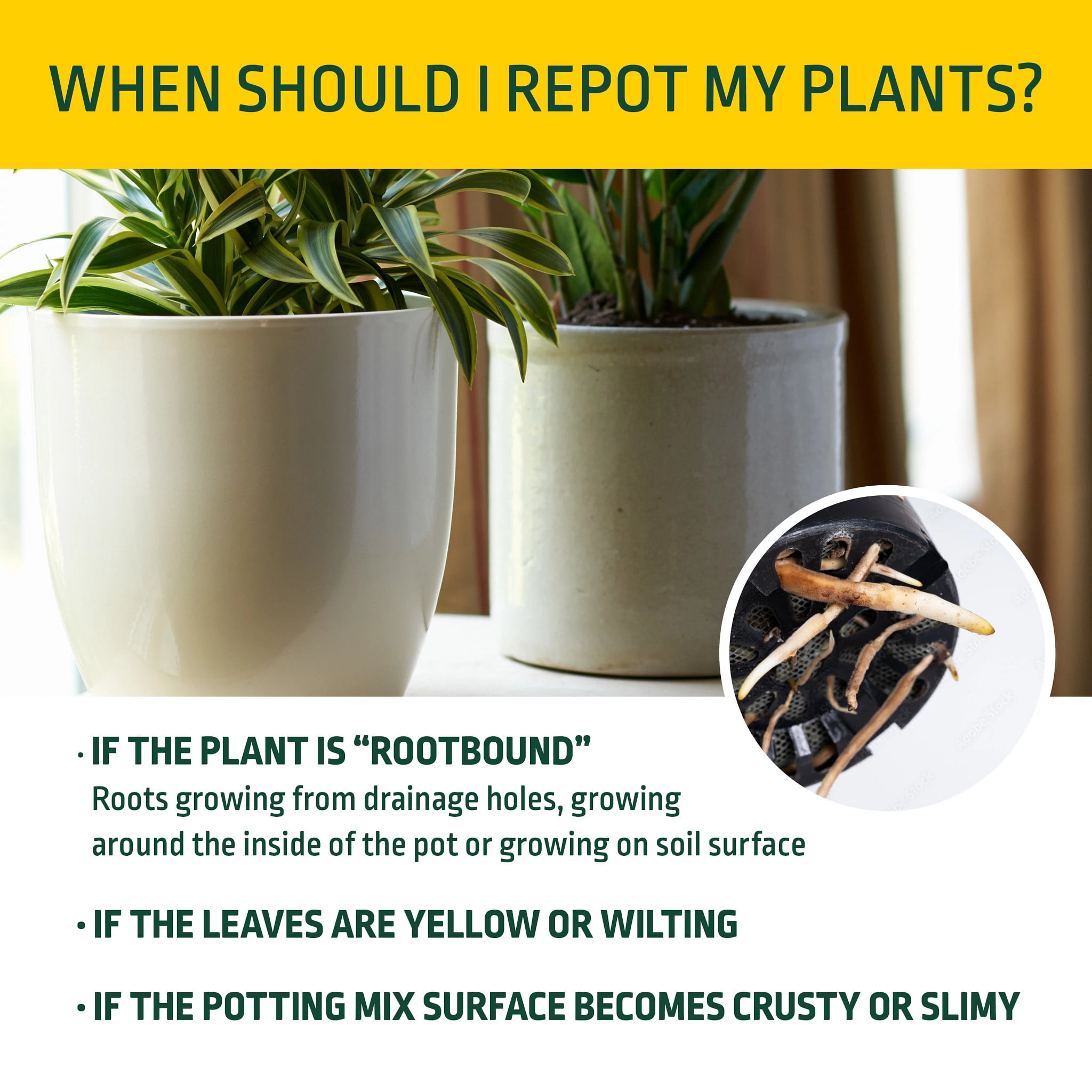 Expert Gardener Potting Mix for Potted Plants, For Indoor and Outdoor Use, 1 cu. ft., Pallet of 80