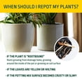 thumbnail image 4 of Expert Gardener Potting Mix for Potted Plants, For Indoor and Outdoor Use, 2 cu. ft., Pallet of 39, 4 of 12