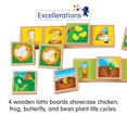 thumbnail image 2 of Excellerations earlySTEM Life Cycles Sequencing Lotto, 2 of 2