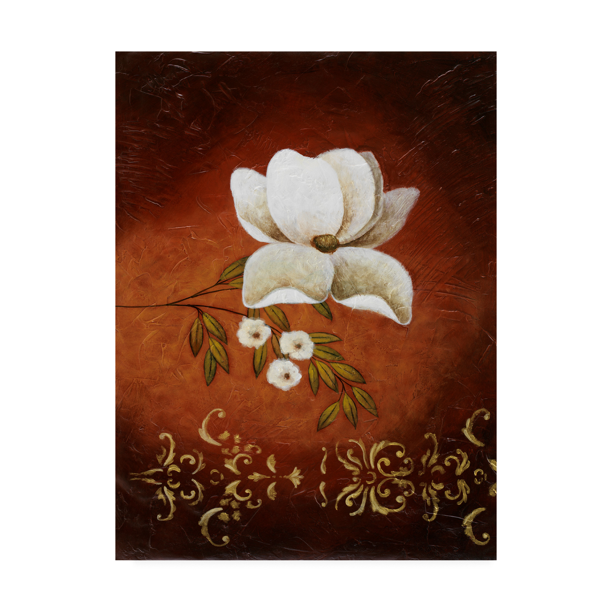 Trademark Fine Art 'White Flower Shadows 1' Canvas Art by Pablo Esteban