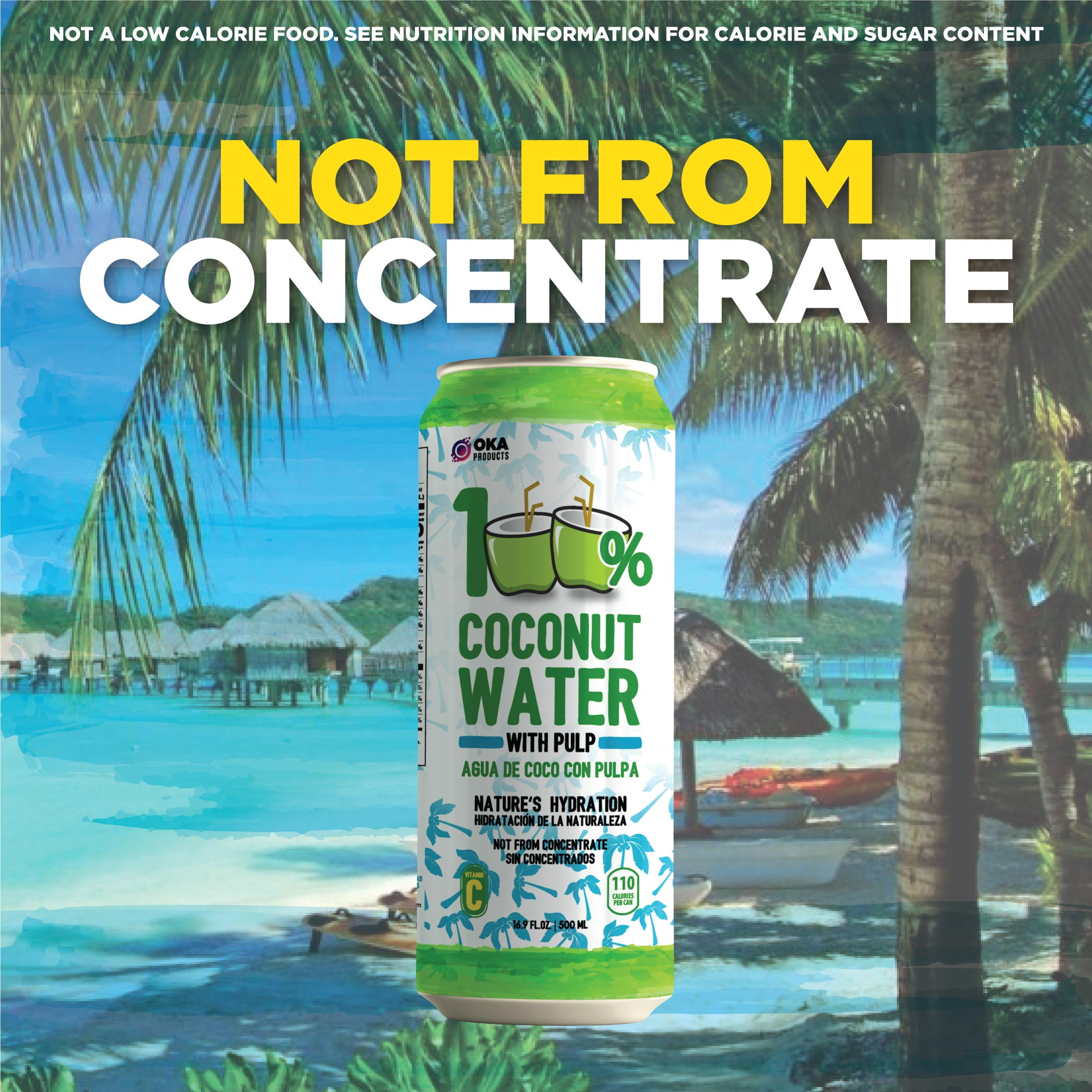 100% Coconut Water with Pulp, Pure, No Added Sugar, 16.9 fl oz can