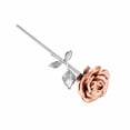 thumbnail image 7 of Rose Flower Keepsake Urn for Ashes Sympathy Gift Small Stainless Steel Urn Mini Cremation Urn Keepsake Rose for Sharing Human Ashes, 7 of 7