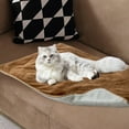 thumbnail image 2 of Kedshhgu Self Warming Cat Bed Pet Mat Washable Thermal Pad for Cold Weather, Fluffy Fleece Dog Throw Blankets for Outdoor and Indoor Small Cat Puppy Pets (29.53" × 39.37"), 2 of 6