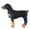 Blue, variant on Pets Dog Left Rear Leg Support Brace Operation Recovery Safety Sleeve Wrap USA