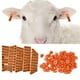 thumbnail image 4 of Etiqueta de oreja de plástico para ganado, número 1-100, etiqueta de animal para cabra, oveja, cerdo (naranja), 4 of 5