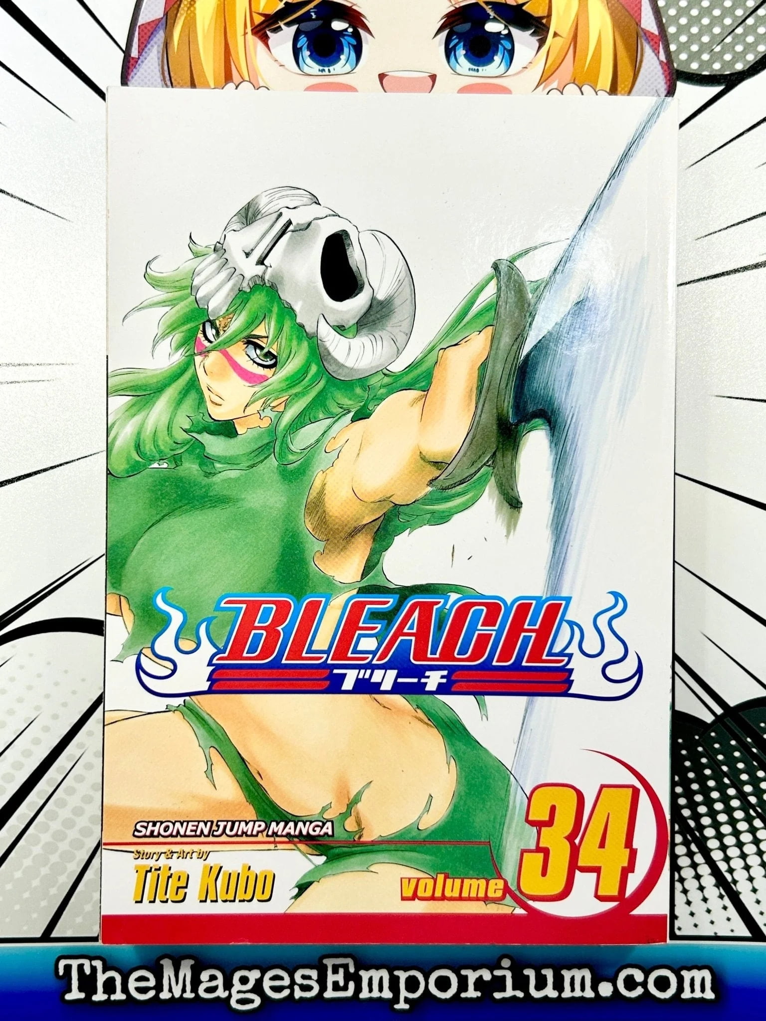 BLEACH　漫画 Bleach Bleach, Vol. 34: King of the Kill, Book 34, (Paperback