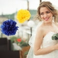 thumbnail image 2 of FOMIYES 10Pcs Paper Pom Poms Tissue Flowers Paper Flowers Tissue Paper Pom Poms for Wedding, 2 of 8