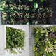 thumbnail image 4 of Bolsas de plantación verticales para colgar en la pared, maceta de cultivo verde con 36 bolsas para el hogar, pared, balcón, suministro de jardín, negro Aespa kaili Sencillez, 4 of 5