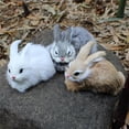 thumbnail image 4 of Y Realistic Plush Rabbit Figurine For Home Decor 15Cm Cute Animal Simulation Toy, 4 of 5