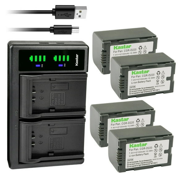 Kastar 4-Pack CGR-D16S Battery and LTD2 USB Charger Compatible with Panasonic PV-DV400K PV-DV401 PV-DV402 PV-DV600 PV-DV600K PV-DV601 PV-DV602 PV-DV700 PV-DV701 PV-DV702 PV-DV710 PV-DV800 Camera