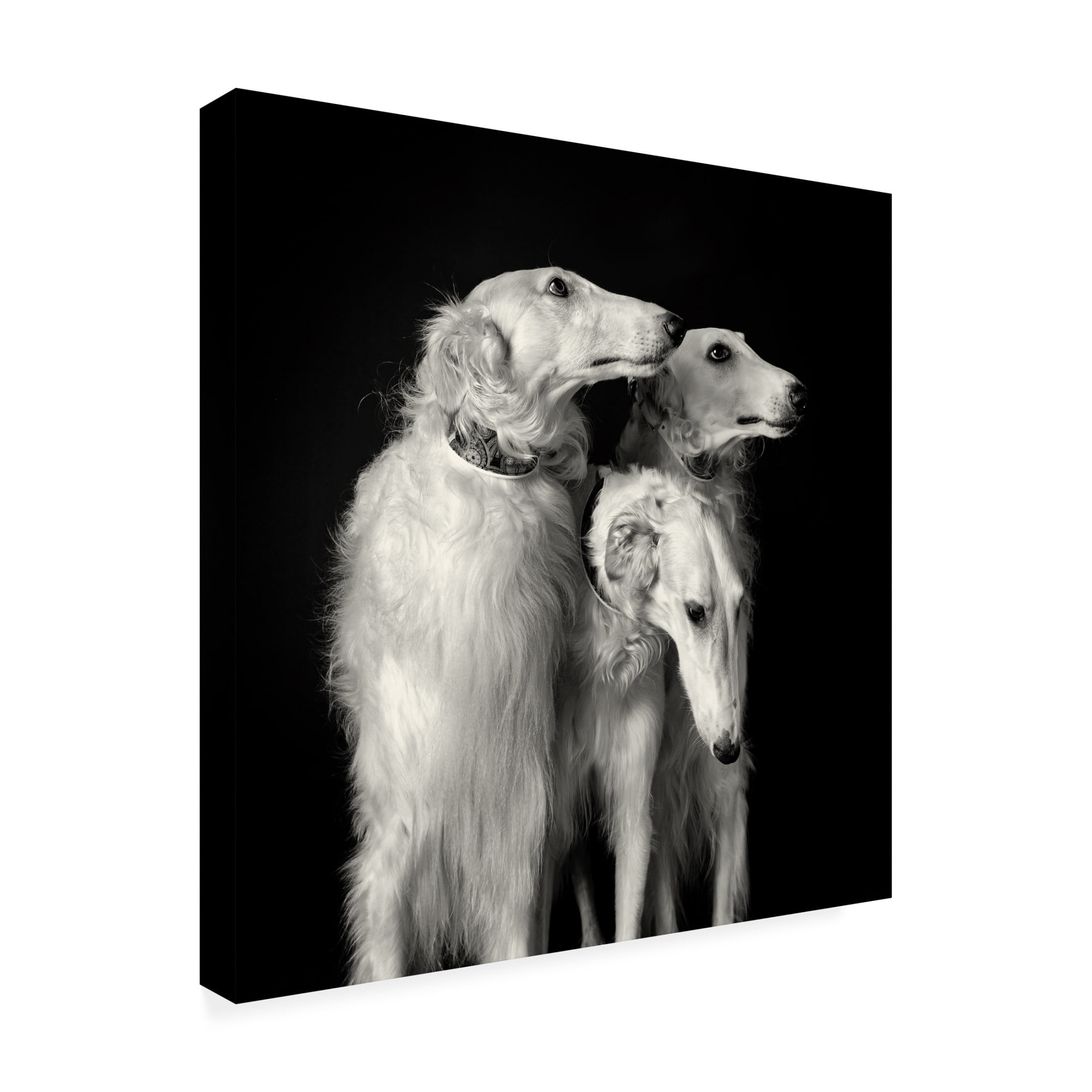 Trademark Fine Art Mieke Engelbos  3 of a kind Canvas Wall Art