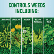 Roundup For Lawns Northern Formula Weed Killer - Single Pack — Residential Use, Standard Application