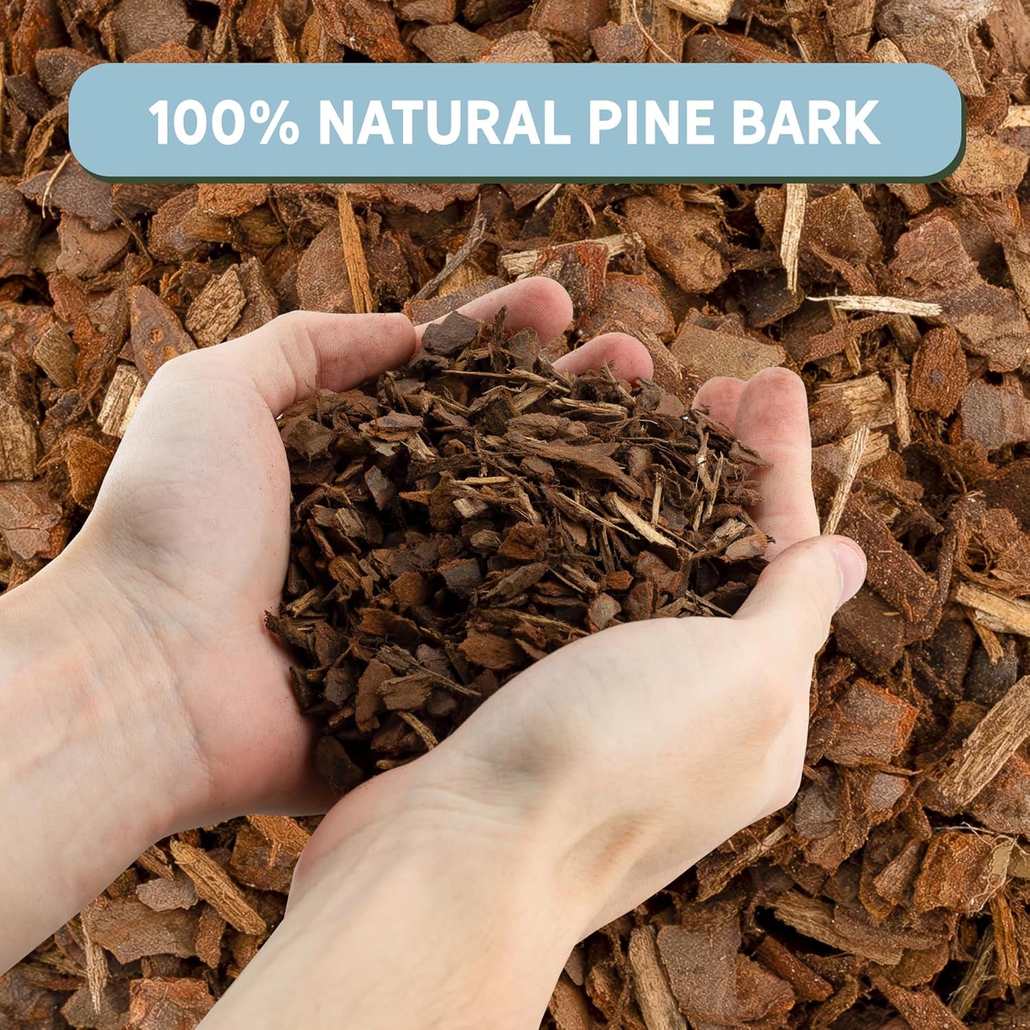 Organic Orchid Potting Mix,Bexikou Orchid Barks Organic Pine Bark,10oz 0.1-0.35in Natural Orchid Bark Potting Mix for Succulents,Orchids, Indoor Plants,Pine Bark Chips for Optimal Drainage & Aeration