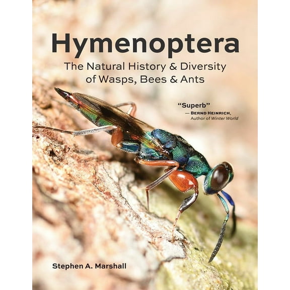 Hymenoptera: The Natural History and Diversity of Wasps, Bees and Ants, (Hardcover)