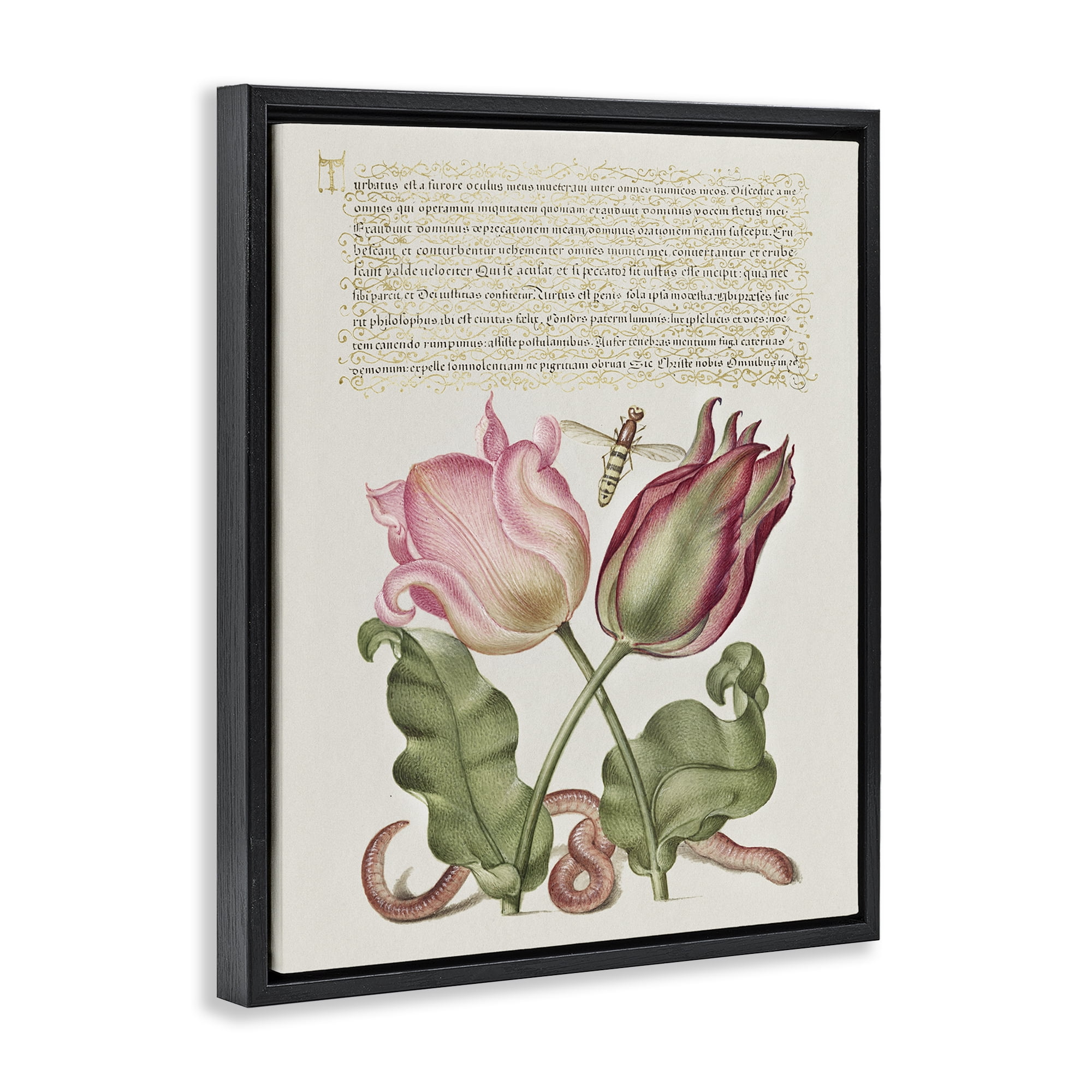 Stupell Industries Tulips & Insects Antique Text & Numbers Painting Black Floater Framed Canvas Art Print Wall Art, 17 x 21