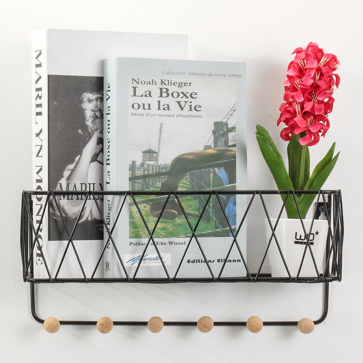 Metal Wire Shelves with Hooks, Modern Wall Decor Shelves, Wall Mounted