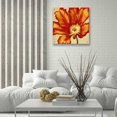 thumbnail image 5 of Epic Art 'Parrot Tulip II' by Tim O'Toole, Acrylic Glass Wall Art, 24"x24", 5 of 5