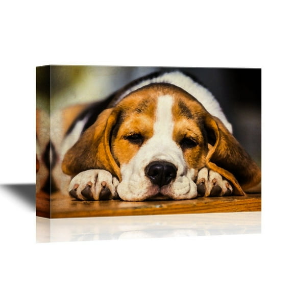 wall26 - Dogs Breeds Canvas Wall Art - Young Sleepy Beagle Puppy Lying on The Wood - Gallery Wrap Modern Home Art | Ready to Hang - 12x18 inches