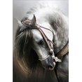 thumbnail image 2 of 5D DIY Caballo Rhinestone Diamond Pintura Redonda Resina Cristal Bordado Animal Imagen Casera Cross Cross Cross SANAG JJ12241-00, 2 of 6