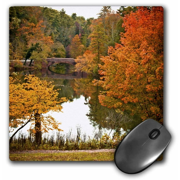 3dRose, Barn Landscape, MousePad