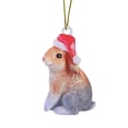 thumbnail image 1 of Binwennn Christmas Light Rings Window Garland Christmas Decorations Christmas Animal Ornament Acrylic Santa Hat Animal Ornament Christmas Tree Decoration, 1 of 8