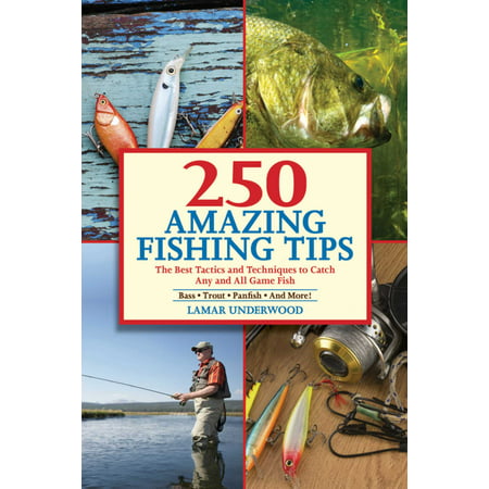 250 Amazing Fishing Tips : The Best Tactics and Techniques to Catch Any and All Game (The Best Fishing Games)