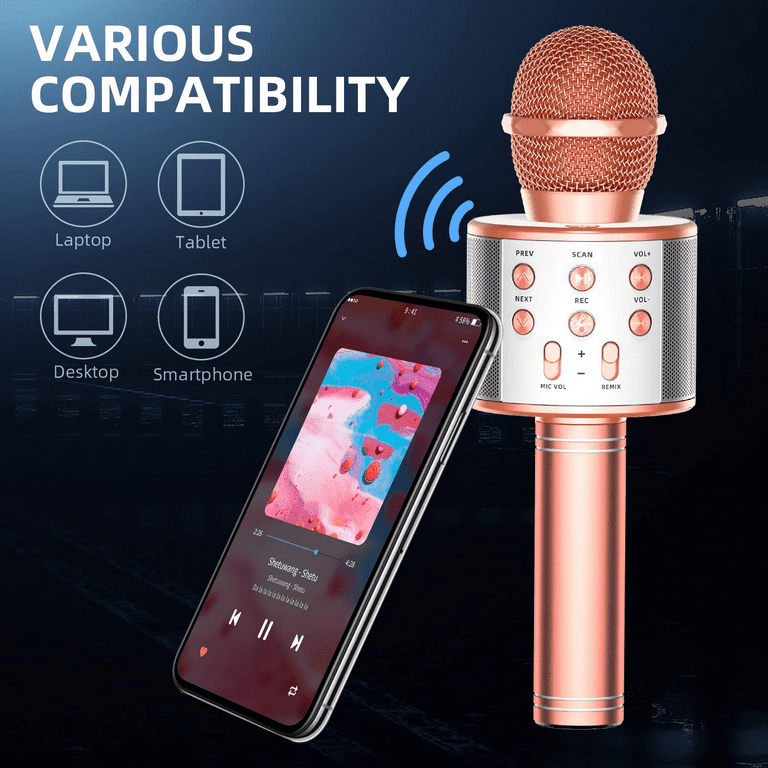 Wireless Karaoke Microphone for Kids, 4-in-1 Portable Handheld Karaoke  Machine with Voice Disguiser, Perfect for Christmas, Home, and Birthday  Parties(Blue) 