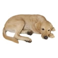 thumbnail image 3 of Large Realistic Sleeping Yellow Labrador Retriever Statue 21"H Golden Retriever, 3 of 10