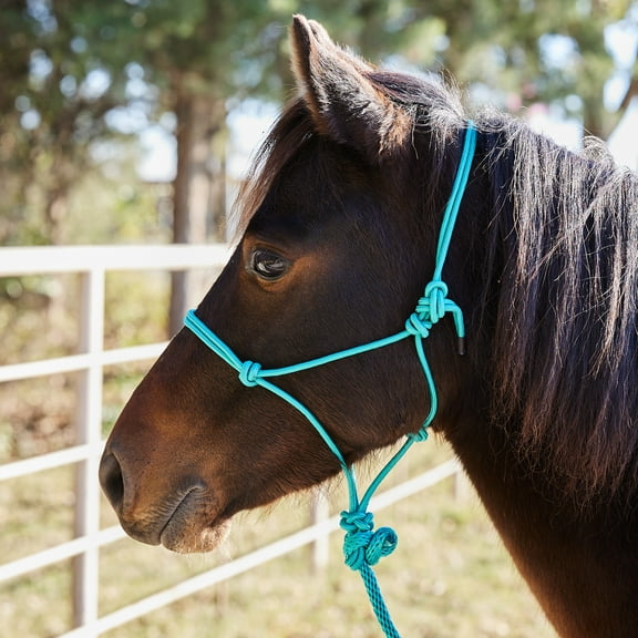 Tough-1 Miniature Poly Rope Halter withLea
