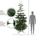 thumbnail image 6 of Northlight Real Touch™️ Nordmann Fir Layered Artificial Christmas Tree - Unlit - 9', 6 of 6