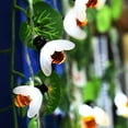 thumbnail image 5 of LINLIN Honeybee String Lights,LED Bee Shaped Fairy Lights,Battery Operated Bright Flash Bee String Light Garden Party Decoration Lighting, 5 of 7
