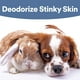 thumbnail image 5 of Spray antimicrobiano SkinSmart para el cuidado de heridas para mascotas, 5 of 7