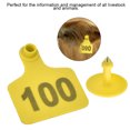 1100 Number Plastic Livestock Ear Tag Animal Tag for Goat Sheep Pig