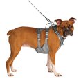 thumbnail image 2 of Canada Pooch, Max Chill Cooling Harness Grey, 2 of 4