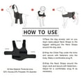 thumbnail image 5 of Thunder Jacket for Dogs Anxiety Relief, Dog Anxiety Vest Calming Care for Separation, Thunderstorm, Travel, Fireworks, Vet Visits, 5 of 8
