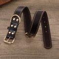 thumbnail image 5 of ROAM Premium Dog Collar - Adjustable Heavy Duty Nylon Collar with Quick-Release Metal Buckle, 5 of 5