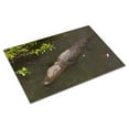 thumbnail image 3 of Print: Gator Alley At The D'olive Boardwalk Park In Daphne, Alabama, Is, 3 of 4