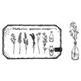 thumbnail image 2 of Stamp Square Clear Pattern Signet Relieve the Pressure Decorative Vintage Floral Signet Reusable Seal Set Craft Card Making Letters Scrapbook Type 2, 2 of 9