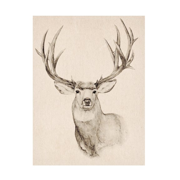 Annie Warren 'Natural Buck II' Canvas Art