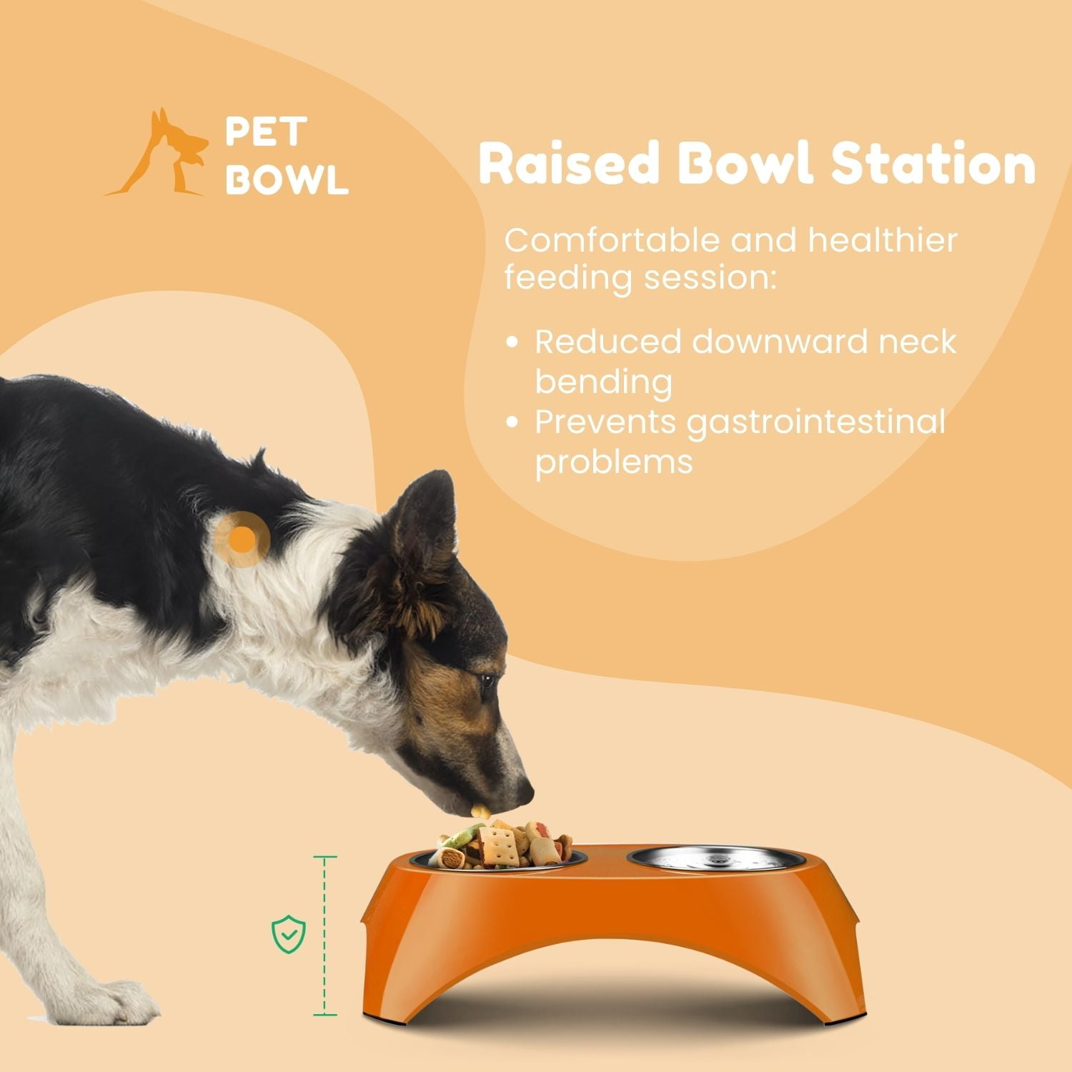 Dog and Cat Bowls Elevated Set - Acrylic Feeder Stand with 2 Set Removable  Stainless Steel and Glass Bowls Food and Water Raised Dishes for Small