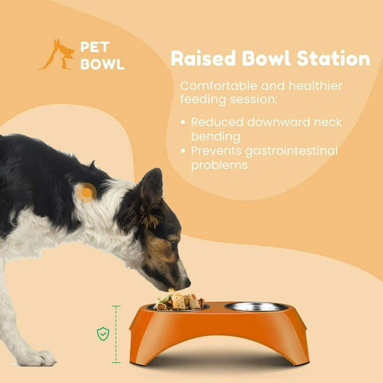 Paddsun Double Bowl Dog Cat Feeder Elevated Raised Stand Feeding