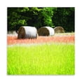 thumbnail image 2 of Gango Home Decor Contemporary Spring Fields II by Alan Hausenflock (Printed on Paper); One 16x16in Fine Art Paper Giclee Print, 2 of 4